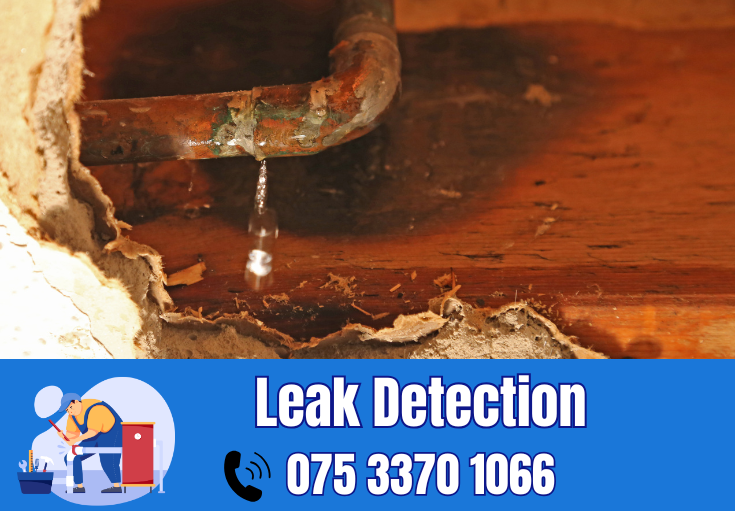 leak detection Ramsgate